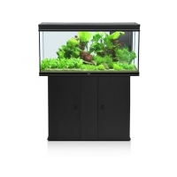 Aquatlantis Aquarium Elegance Plus 121x40x60cm Incl. LED Aquatlantis Aquarium Elegance Plus 121x40x60cm Incl. LED